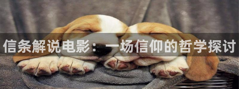 茄子视频18