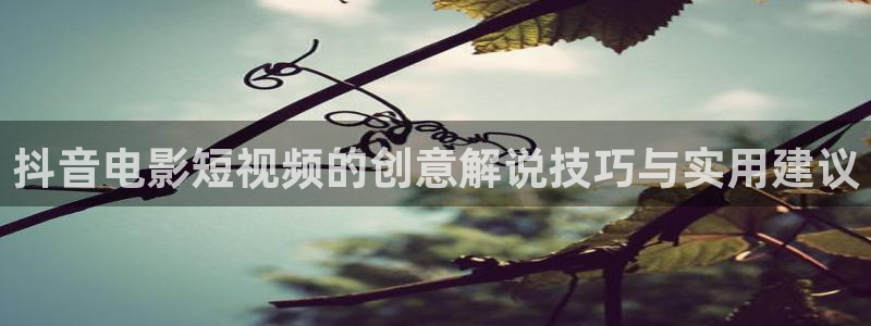 茄子视频了