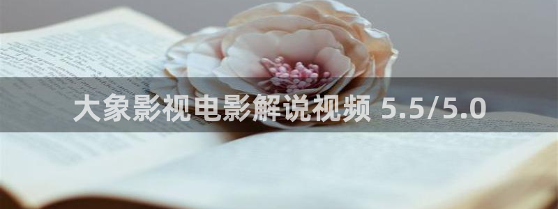 茄子视频了