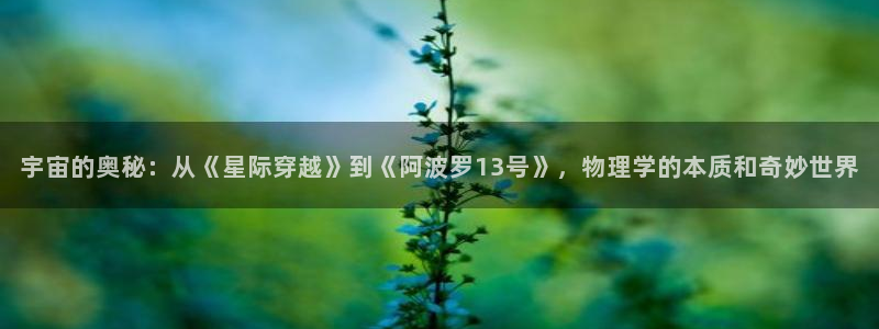 樱桃茄子视频