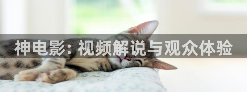 茄子视频 magnet