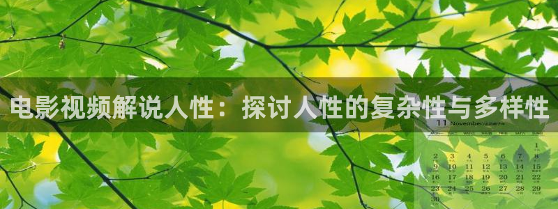 茄子视频www
