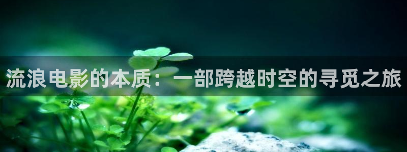 丝瓜茄子视频在线观看
