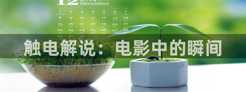 茄子视频18