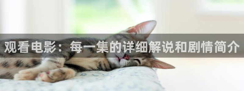 茄子视频 magnet