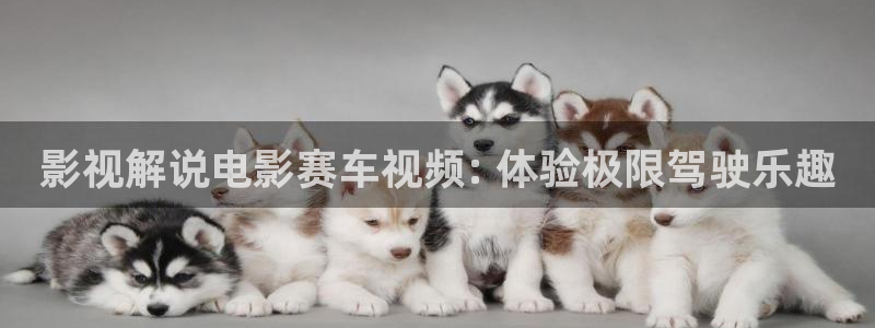 茄子视频qz