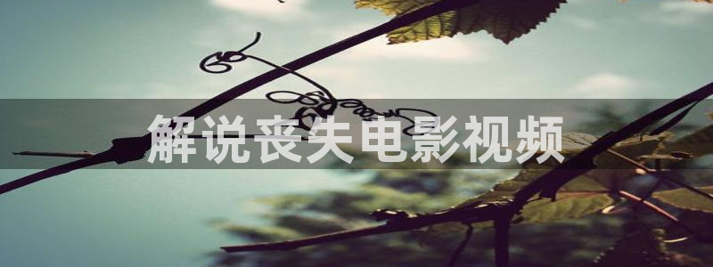 小优视频茄子视频