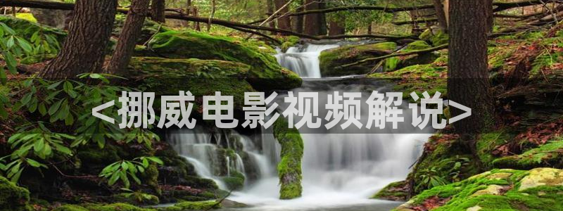 茄子视频