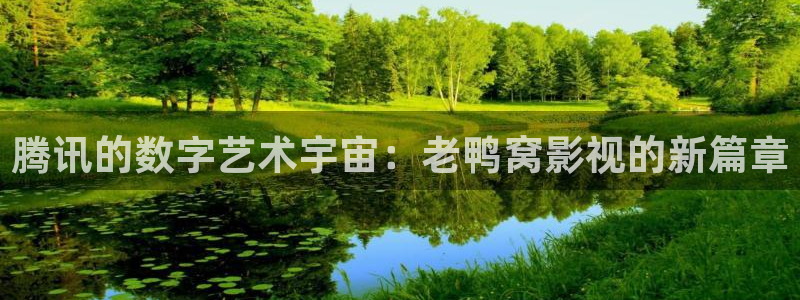 茄子视频了