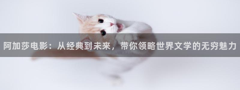 小优视频茄子视频