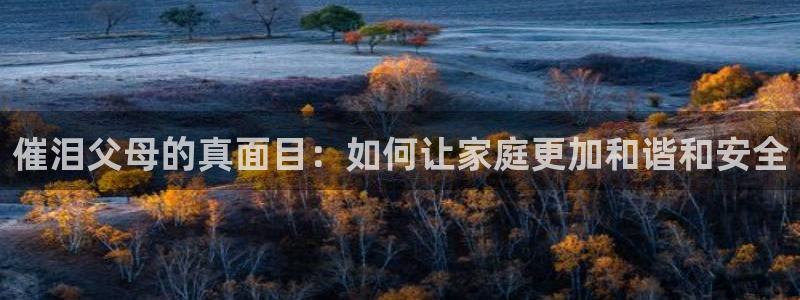 茄子视频www：催泪父母的真面目：如何让家庭更加和谐和安全