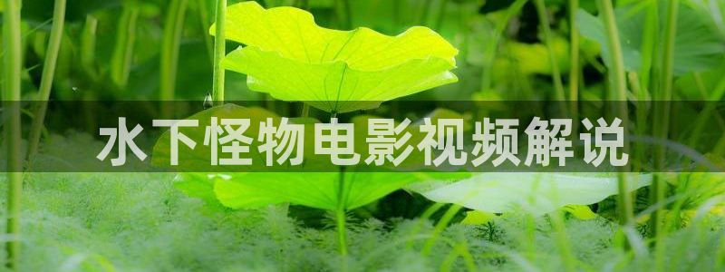 茄子视频?：水下怪物电影视频解说
