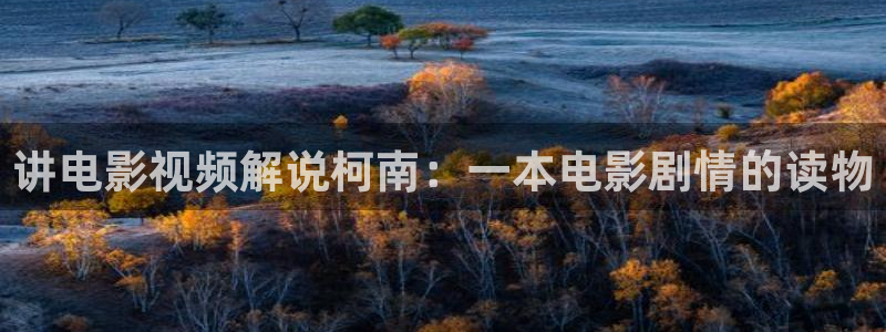 大茄子视频