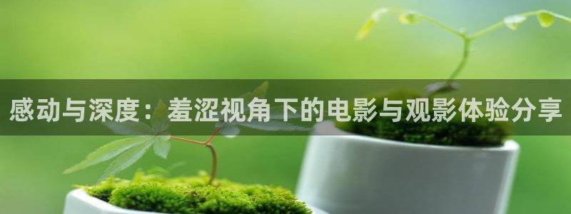 茄子视频色版：感动与深度：羞涩视角下的电影与观影体验分享